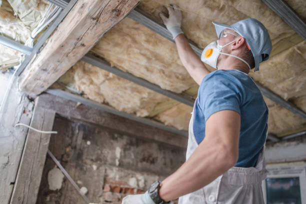 Best Insulation Contractors for Homes  in Wailua Homesteads, HI